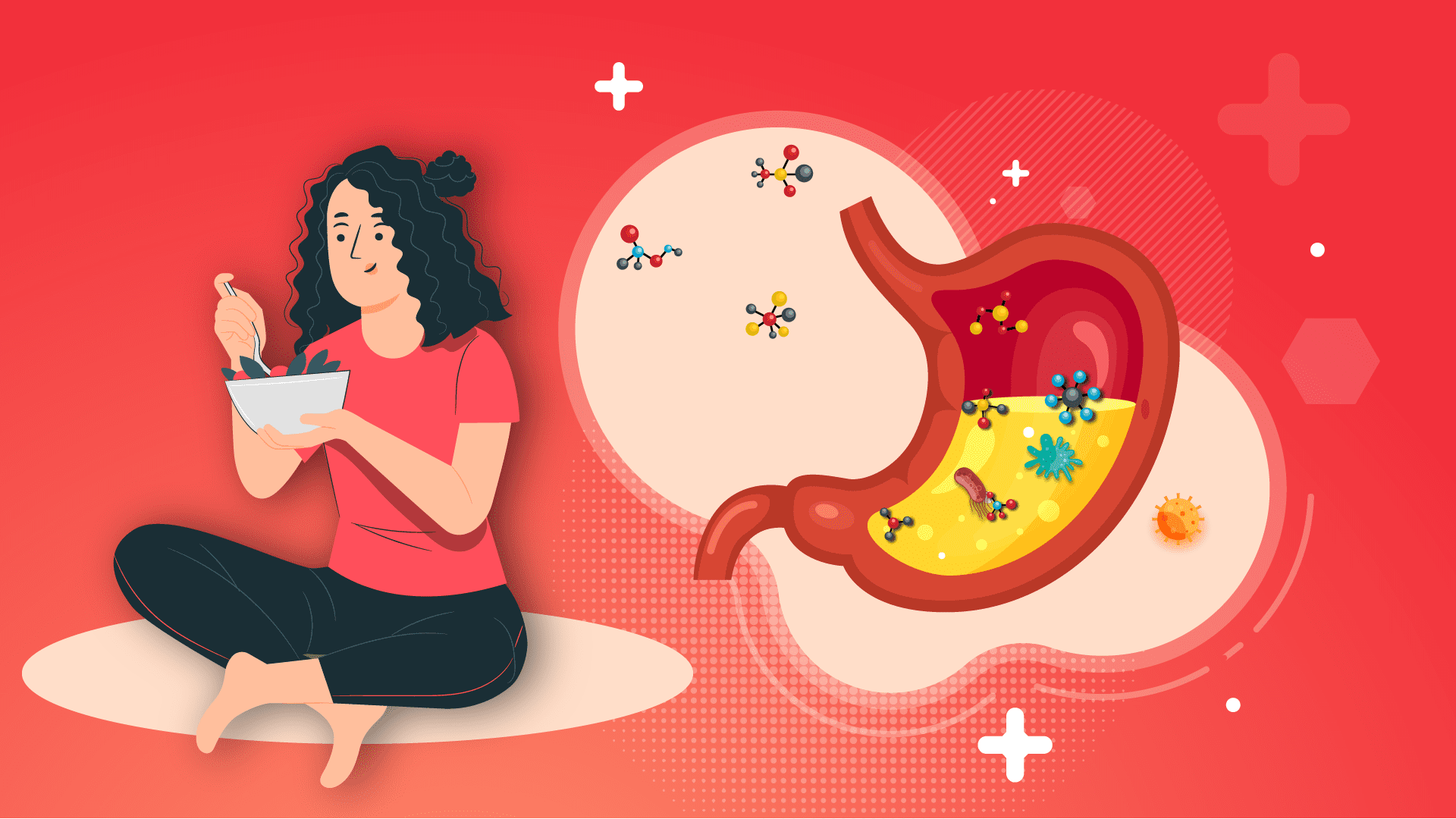 The Role of Gut Microbiota in Diabetes Reversal