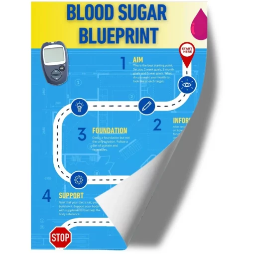 Blood Sugar BluePrint